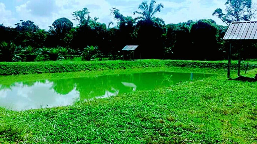 5 Stone Cabin Chalet Taiping Bagian luar foto